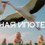 национальный проект «Семья». - Куменский район