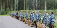 В Екатеринбурге 35 кинологов посоревнуются в поиске оружия и наркотиков - ОТВ