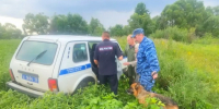 В Мордовии служебная собака помогала отыскать потерявшуюся женщину - Вестник Мордовии