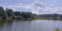 СК начал проверку после гибели ребенка в пруду в Нижегородской области - фото 1 - vGorodeN.Ru