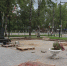 В Выльгорте началась подготовка площадки для памятника погибшим и без вести пропавшим участникам СВО - ИА Комиинформ