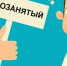 Брянцы поделились мнением о самозанятости: кто «за», а кто сомневается? - Брянская улица