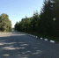 Жаркий день сохранится в Татарстане 6 августа - Газета Тетюшские зори