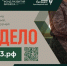 В Краснодарском крае открыли прием заявок на бизнес-обучение для участников СВО - Газета Краснодарские известия