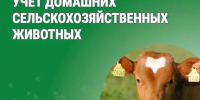 Своевременный учет поголовья скота – залог безопасности и развития сельского хозяйства - Тейковский район