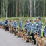 фото: В.Н.Горелых - АПИ