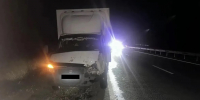 В Калмыкии за сутки произошло два ДТП с участием сельскохозяйственного скота - ГТРК