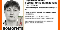 В Муроме пропала женщина - Сетевое издание Владимирские новости
