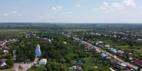 Еще в одном районе Воронежской области выявили бешенство - Обозреватель.Врн