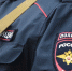 В Курской области задержали главу организации за мошенничество с субсидиями - РИА Курск