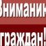 Следственное управление СК России по Ивановской области предупреждает несовершеннолетних об уголовной ответственности за участие в мошеннических действиях - Следственный комитет