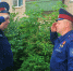 Костромские народные дружинники помогают полиции обеспечивать общественный порядок - Город Кострома