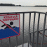 утопленник_купание_пляж - Novosti-Saratova.Ru