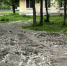 Воронежских водителей продолжают активно штрафовать за парковку на газонах - РИА Воронеж