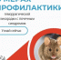 Геморрагическая лихорадка с почечным синдромом!!! - Администрация Ейского района