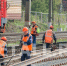 В выходные сократят режим работы МЦД-3 и отменят около 100 электричек - Netall.Ru