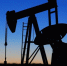 Новак сообщил, что российские нефтяные компании снимают лимиты на продажу топлива - Online47.Ru
