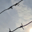 Фото: телеканал «Краснодар» - ТК Краснодар