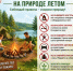 Лето – время отдыха на природе, но вместе с ним возрастает и риск возникновения пожаров - Балтачевский район