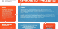 На территории Московской области проводится месячник по предупреждению возникновения АЧС с 22 июля 2026 года по 23 августа 2026 года «ЛЕТНИЙ ВЕПРЬ» - Городской округ Одинцово