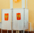 выборы, голосование Мария Смитюк, ИА PrimaMedia.ru - KamchatkaMedia.Ru
