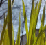 Микроклещи атакуют россиян: где они обитают и чем опасны - Teleport2001.Ru
