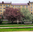 город Омск - РИА Омск-информ