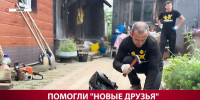 Волонтёры организации "Новые друзья" бесплатно преобразили двор пожилой сахалинки - News.Astv.Ru