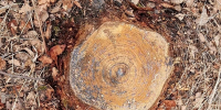 Фото: max.ru/mvd28/AZ_UmnI_Xos - Амурское областное телевидение