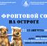 Фото: kult.amurobl.ru - Амурское областное телевидение
