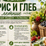 Убийство, канонизация и варенье из черники: что скрывает день 6 августа в народном календаре - Bloknot-Voronezh.Ru