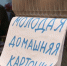В этом году край собственными силами закроет потребность в картофеле – сразу на 82 процента - ГТРК Дальневосточная