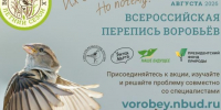 Вологжан приглашают принять участие во Всероссийской переписи воробьёв - Вологда-поиск