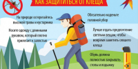 КЛЕЩИ. ЧТО ДЕЛАТЬ, ЕСЛИ ОБНАРУЖИЛИ НА СЕБЕ КЛЕЩА - Город Чулым