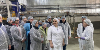 Около 1,5 тыс. ставропольских школьников стали участниками профтуров. - Ипатовский городской округ