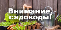Дачники и жители ряда СНТ и посёлков в окрестностях Комсомольска должны подготовиться к подъёму воды в Амуре - Администрация г.Комсомольска-на-Амуре