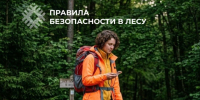 Безопасность в лесу: запоминайте простые правила и ходите в лес без риска. - Усть-Куломский район