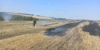 В Сосковском районе подтвердилась очередная термоточка - Орловский Вестник