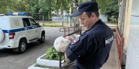 JPG Файл - УМВД Вологодской области