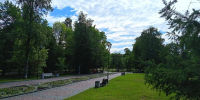 аллея - Петрозаводск говорит