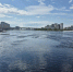Фото Елены Ковалевой - Tumentoday.Ru