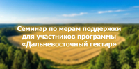 Семинар по мерам поддержки для участников программы «Дальневосточный гектар» - Министерство имущественных отношений