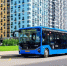 Более 400 новых автобусов Мосгортранса вышли на 37 пригородных маршрутов - M24.Ru