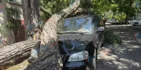 Региональный режим ЧС ввели в Ростове и еще трех муниципалитетах Дона из-за урагана - DonDay.Ru