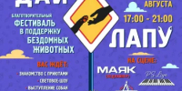 В Уфе пройдет благотворительный фестиваль помощи бездомным животным «Дай лапу» - Общественная палата РБ