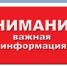 об обнаруженных безнадзорных кошках и собаках. - Половинский муниципальный округ