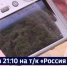Смотрите в 21:10. Новые квадрокоптеры поступили на вооружение заповедников Хабаровского края - ГТРК Дальневосточная