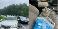 Двух жителей Малоярославца задержали с 193 граммами каннабиса - Калужский перекрёсток