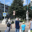 Где на дорогах Кировской области гибнут чаще всего: список районов с рекордной аварийностью - Город Киров