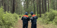 Потерявшаяся в лесу забайкалка жарила сыроежки и мастерила шалаш до спасения - Забайкальский рабочий